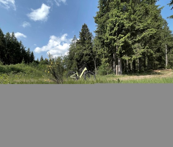 Wir vermieten auch e_Bikes, &copy; Hotel Schr&ouml;der