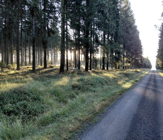 Das Hohe Venn- in der N&auml;he des Hotel gelegen