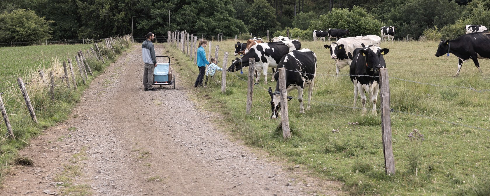 Family with baby carriage on country lane next to cow pasture, surrounded by trees., &copy; Eifel Tourismus GmbH, Tobias Vollmer - finanziert durch REACT-EU