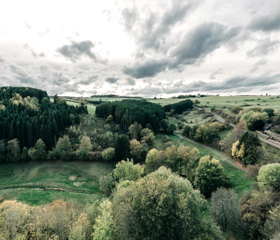 Blick von Burg Reifferscheid auf eine grüne Landschaft mit Wäldern und Wiesen unter einem bewölkten Himmel., © Paul Meixner