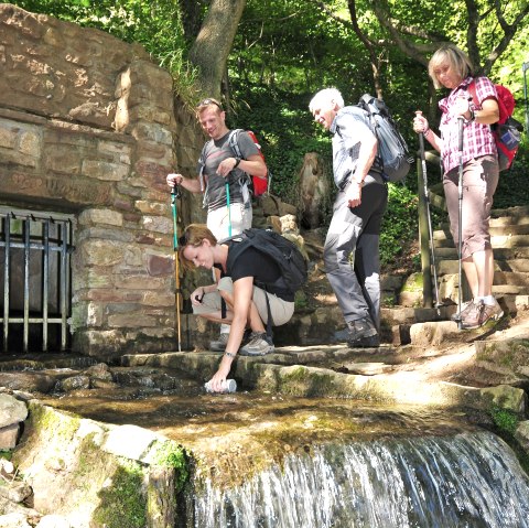 Wanderer an der Erftquelle, &copy; Roman H&ouml;vel