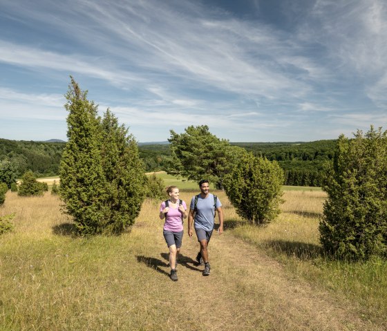 Zwei Personen wandern auf einem Pfad in der Eifel, umgeben von Wacholderbüschen und grünen Wiesen unter blauem Himmel., © Eifel Tourismus GmbH, Dominik Ketz