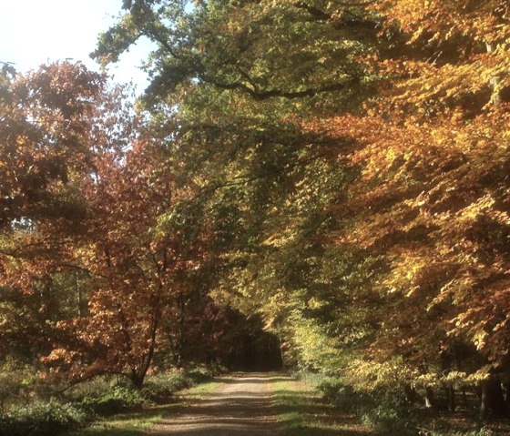 Indian Summer_, &copy; Nordeifel Tourismus GmbH & kph