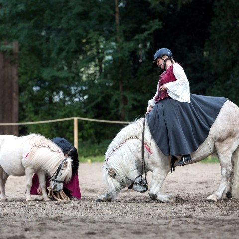 Vorf&uuml;hrungen auf dem Herbstmarkt, &copy; Mario Kaspers