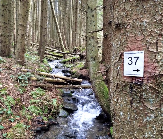 Drosselbach, &copy; Gemeinde Simmerath