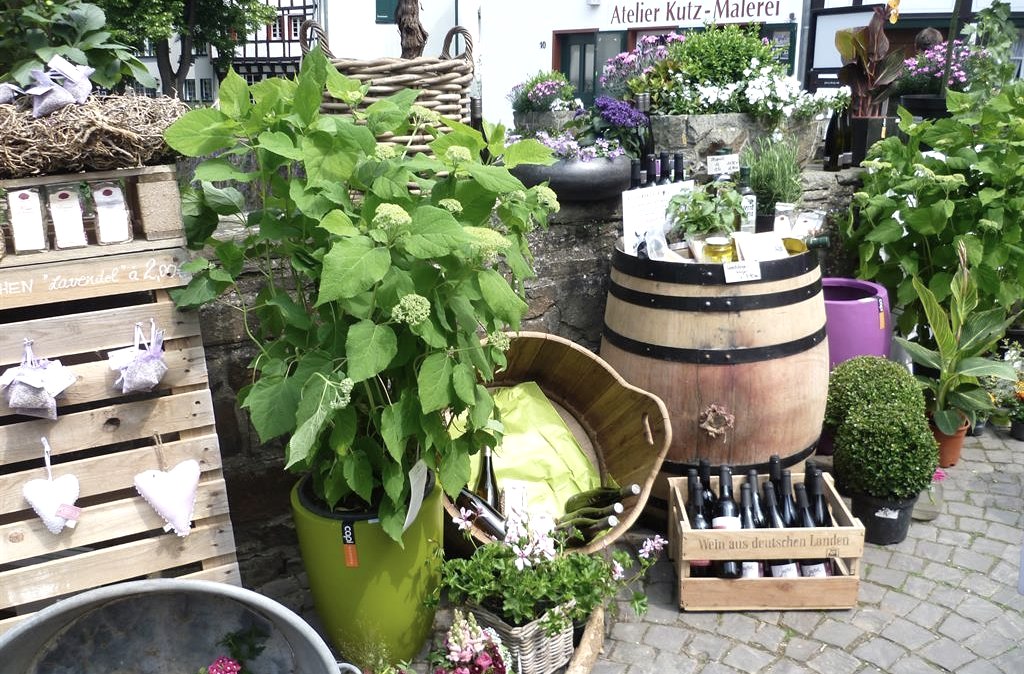 Kräutertag-Impression, © Naturzentrum Nettersheim