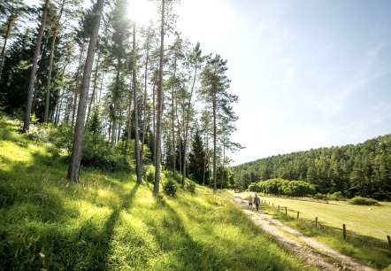 Wandern im Lampertstal, &copy; Eifel Tourismus GmbH - Dominik Ketz