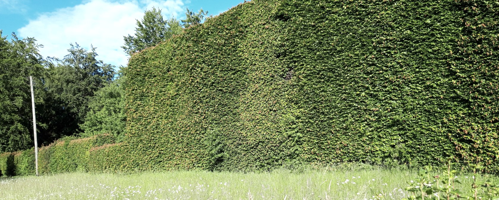 Haushecke, &copy; Monschau-Touristik GmbH, Barbara Frohnhoff
