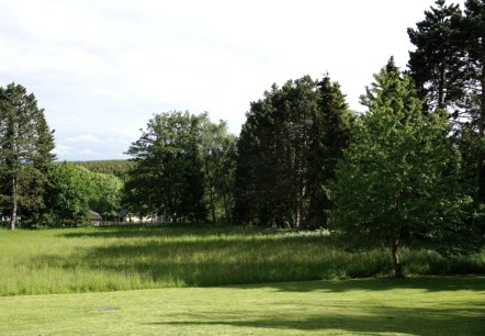 Blick in den Garten