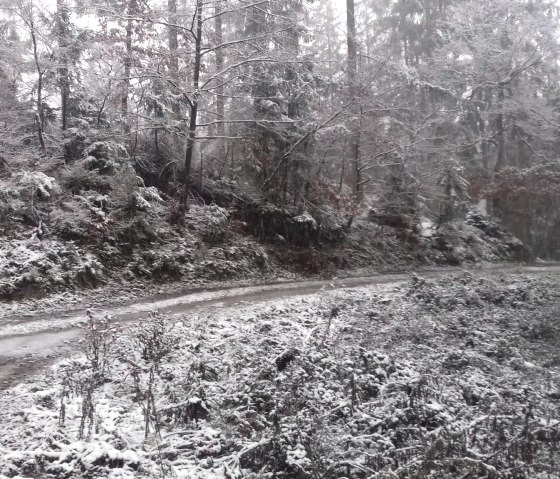 Winterweg Schnee Nebel(co) Thei&szlig;en-Braun