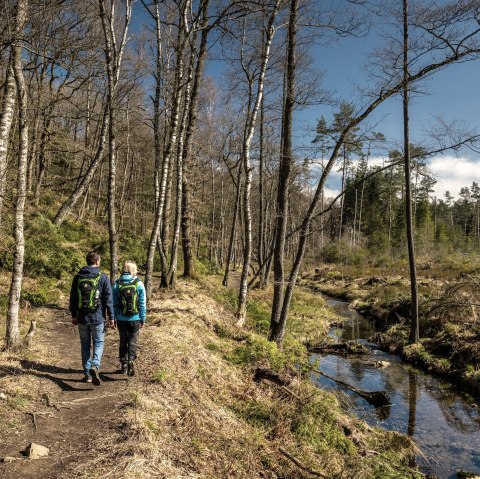 Wanderung, &copy; St&auml;dteregion Aachen, Dominik Ketz