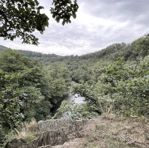 View of the Rur, &copy; Rureifel-Tourismus e.V., Michelle Wiesen