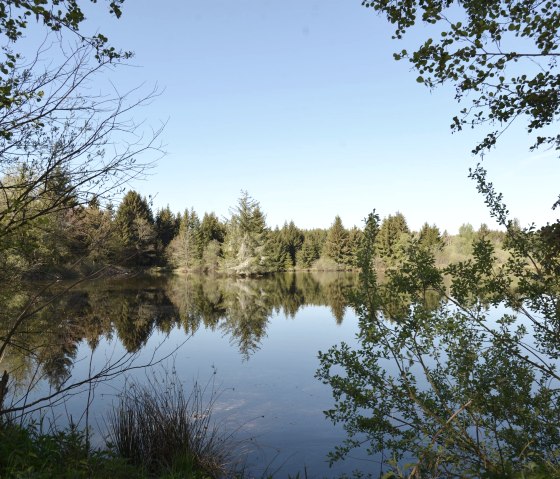 _DSC8055, &copy; Nordeifel Tourismus GmbH & La Maison