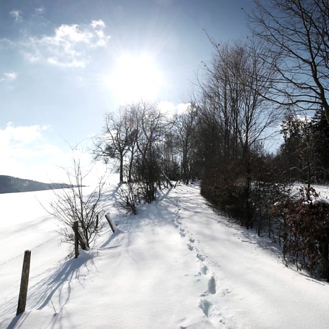 Winter in the Eifel with snow, © Eifel Tourismus GmbH / Janssen + de Kievieth