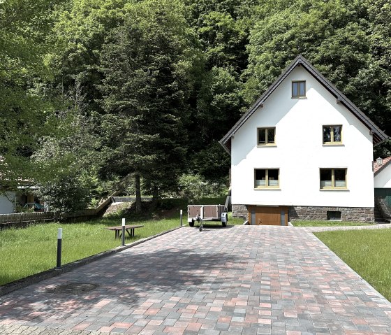 Ginkgo Biloba 05-2024-4, &copy; Nordeifel Tourismus GmbH & Ferienhaus Ginko Biloba