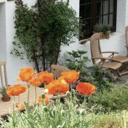 Terrasse Blumen, &copy; Valet & Nordeifel Tourismus GmbH