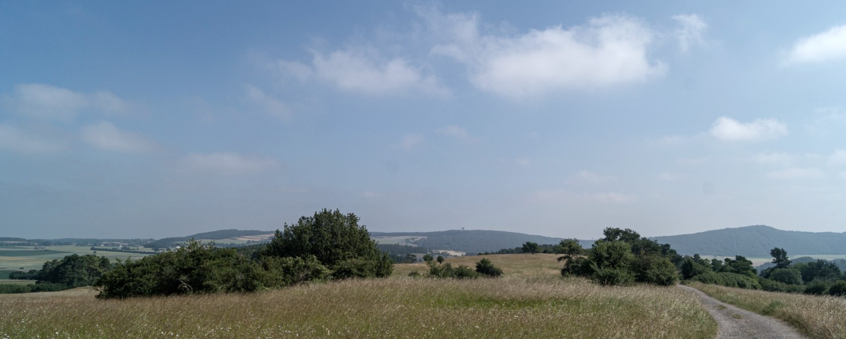 Ein schmaler Weg schlängelt sich durch eine weite, grüne Wiese mit vereinzelten Bäumen unter einem klaren, blauen Himmel., © Nordeifel Tourismus GmbH