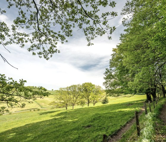 Am Weiherchen, Vicht, &copy; Kupferstadt Stolberg, Dominik Ketz