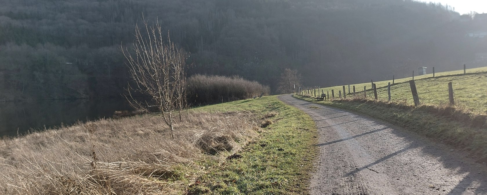 Seerand Januar Einruhr (co) Thei&szlig;en-Braun