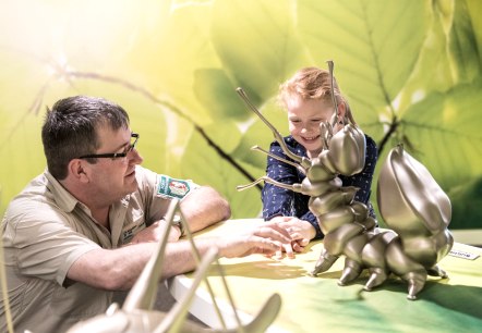 Ausstellung Wildnis(t)r&auml;ume mit Kindern besuchen, &copy; Nationalpark Eifel, D. Ketz