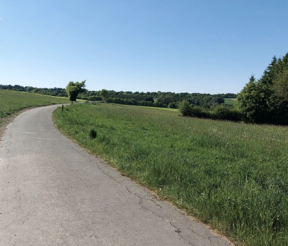 Wiesenaussicht Huppenbroich Juli-August (co) Thei&szlig;