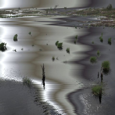 Gray areas2, © Siegfried Genreith