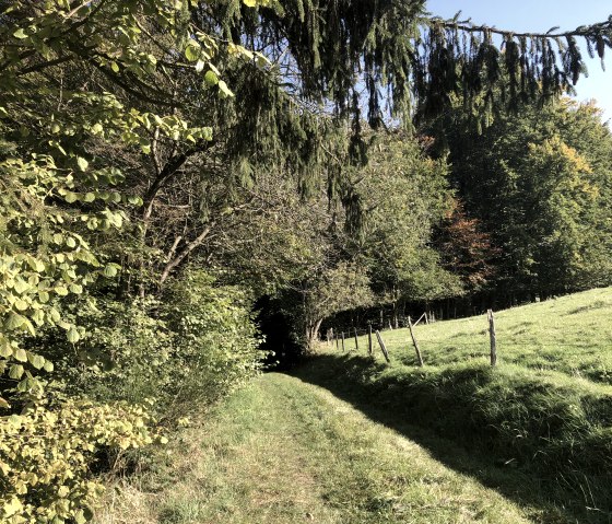 Wanderweg Nr. 13 - Panoramaweg, &copy; Rursee-Touristik GmbH, Conni Schink