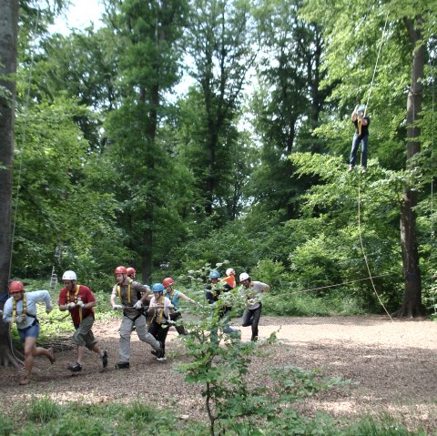 High ropes course Nettersheim, © Gemeinde Nettersheim