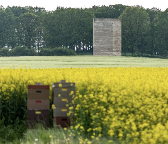 Bienenstöcke stehen vor einem blühenden Rapsfeld. Im Hintergrund ist die Bruder Klaus Kapelle zu sehen, umgeben von Bäumen., © Eifel Tourismus GmbH, AR-shapefruitAG
