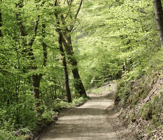In the green valley, © Monschau Touristik