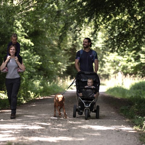 Familienwanderung, &copy; Eifel Tourismus GmbH - Tobias Vollmer