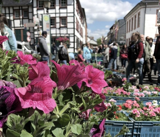 Blumen-, Kleintier- und Bauernmarkt, &copy; Vereinskartell Kommern