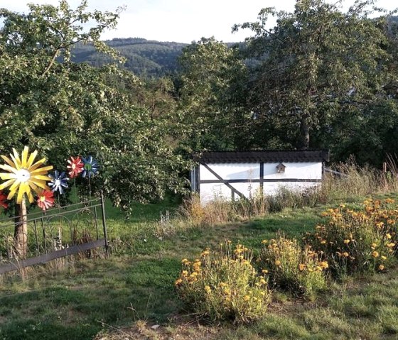 Garten, &copy; Katryn Kaufmann - Hinter den Spiegeln