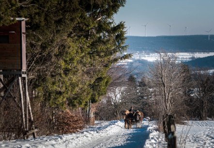 Bauershof M&uuml;tzenich, &copy; Akim-Tierfotografie
