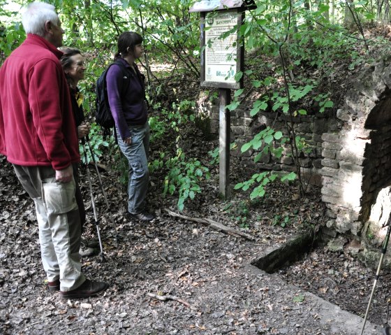 Four hikers stand in front of an information board and an old tunnel on the Roman Canal hiking trail in the forest., © Wandermagazin/ N. Glatter