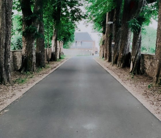 Allee, &copy; Nordeifel Tourismus GmbH & L&acute;Extravagante