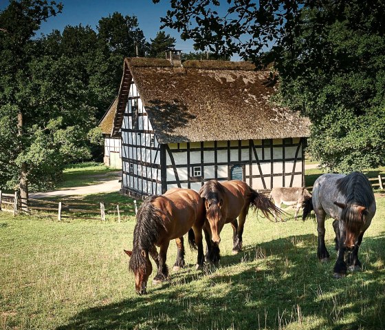 Kommern, &copy; Nordeifel Tourismus GmbH & Landhaus Bachgl&uuml;ck
