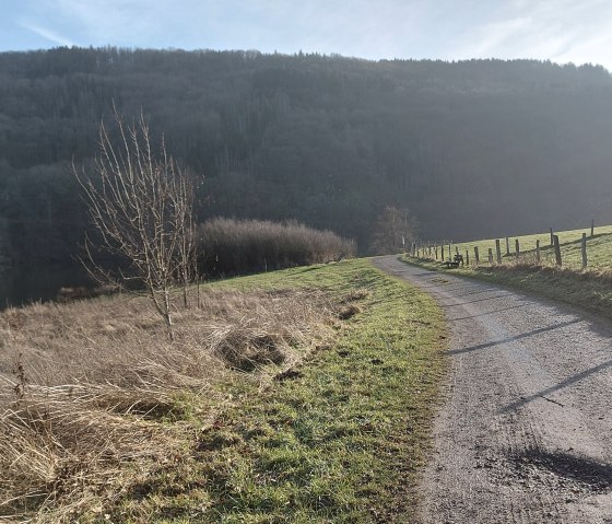 Seerand Januar Einruhr (co) Thei&szlig;en-Braun