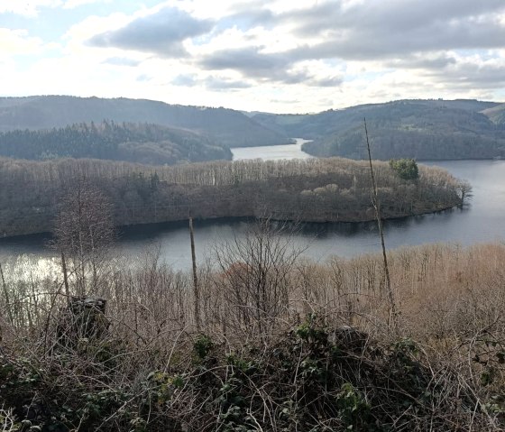Nationalpark Eifel- Blick auf den den Obersee