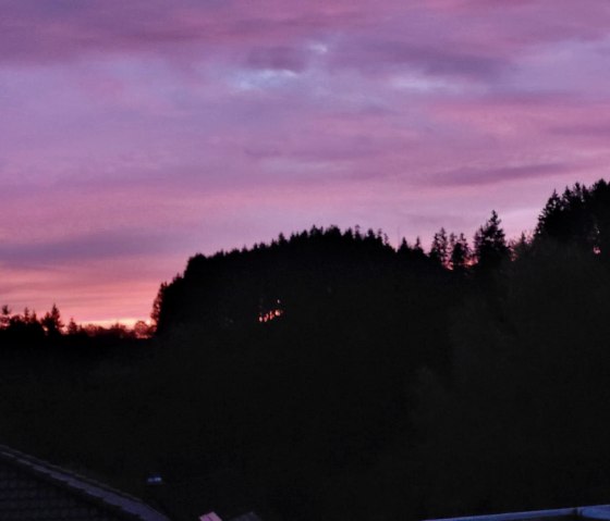 WhatsApp Image 2025-11-23 at 11.29.32