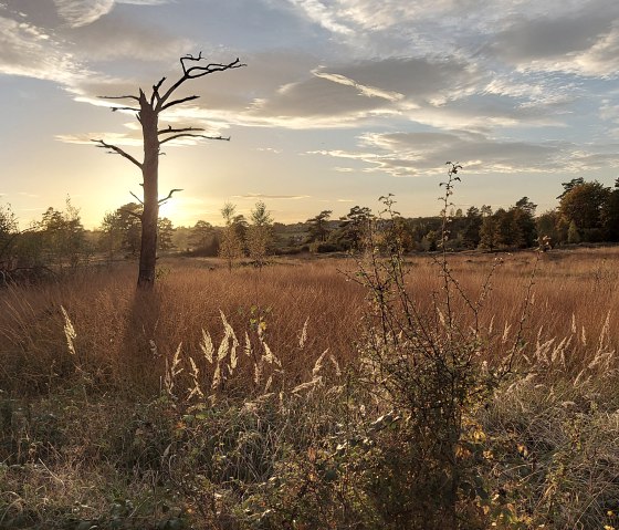 Abendstimmung Oktober (co) Theißen-Braun
