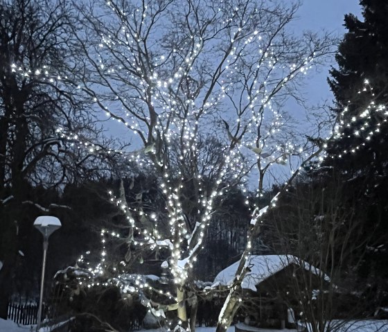Winter impressions