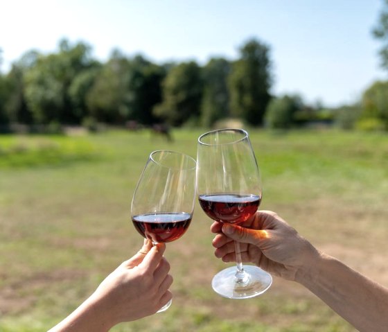Weitblick von der Terasse der FeWo Forelle, &copy; Nordeifel Tourismus GmbH & Landhaus Bachgl&uuml;ck