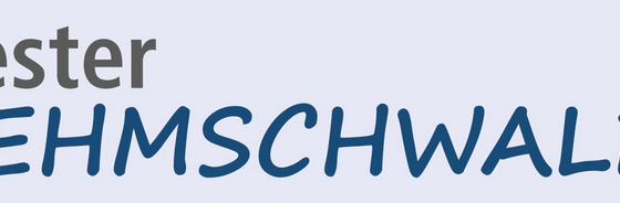 2025_Kester Lehmschwalben