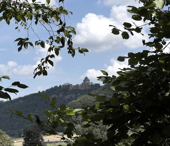 Aussicht mit Blick auf die Burg, &copy; Rureifel-Tourismus e.V., Michelle Wiesen