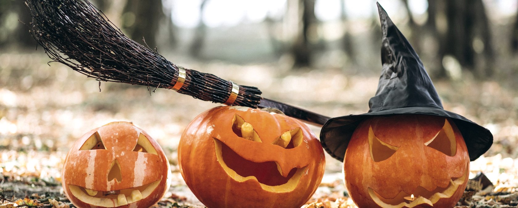 Halloween &Uuml;bernachtung, &copy; Freepik