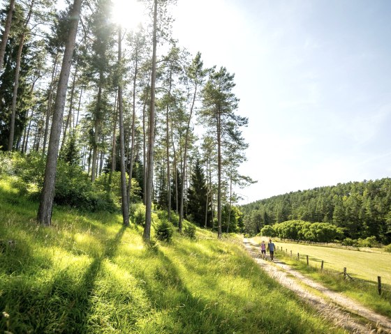 Wandern im Lampertstal, &copy; Eifel Tourismus GmbH - Dominik Ketz