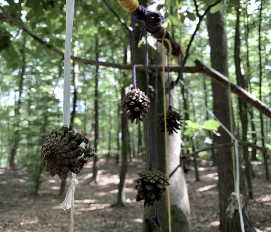 Waldspielgrupp, &copy; JacQui Khonnguluam