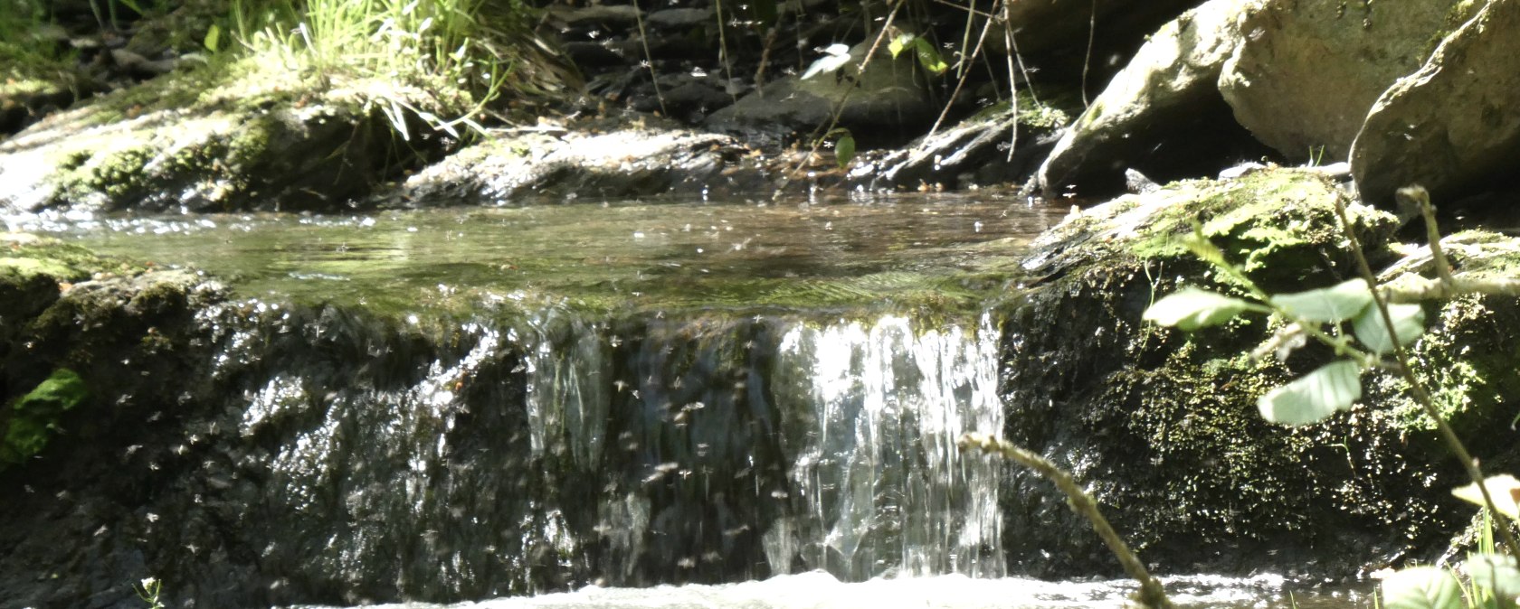 Keltzerbach, &copy; Eifel heimisch