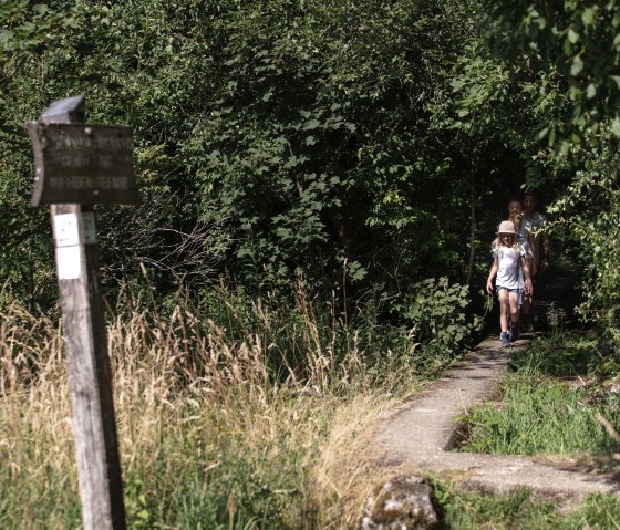 Wanderung auf dem Wanderweg Nr. 21 Westwall-Eifelkreuz, &copy; Eifel Tourismus GmbH, T. Vollmer